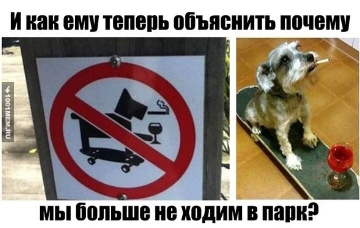 Как можно теперь объяснить. Запрещенные собаки. Вход с собаками запрещен. Картинки запрещенных собак в России.