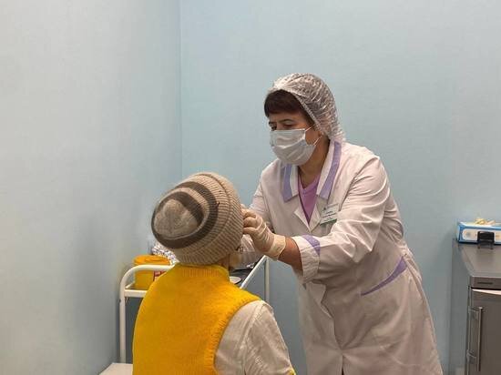     фото: МК в Туле