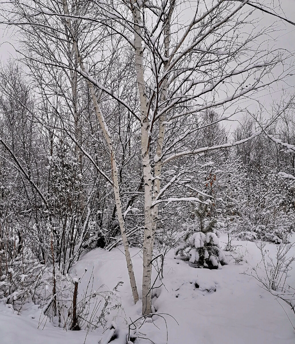 март фото мое 