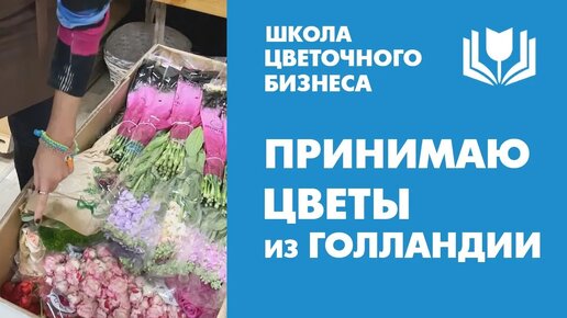 Как принимают растения и цветы из Голландии