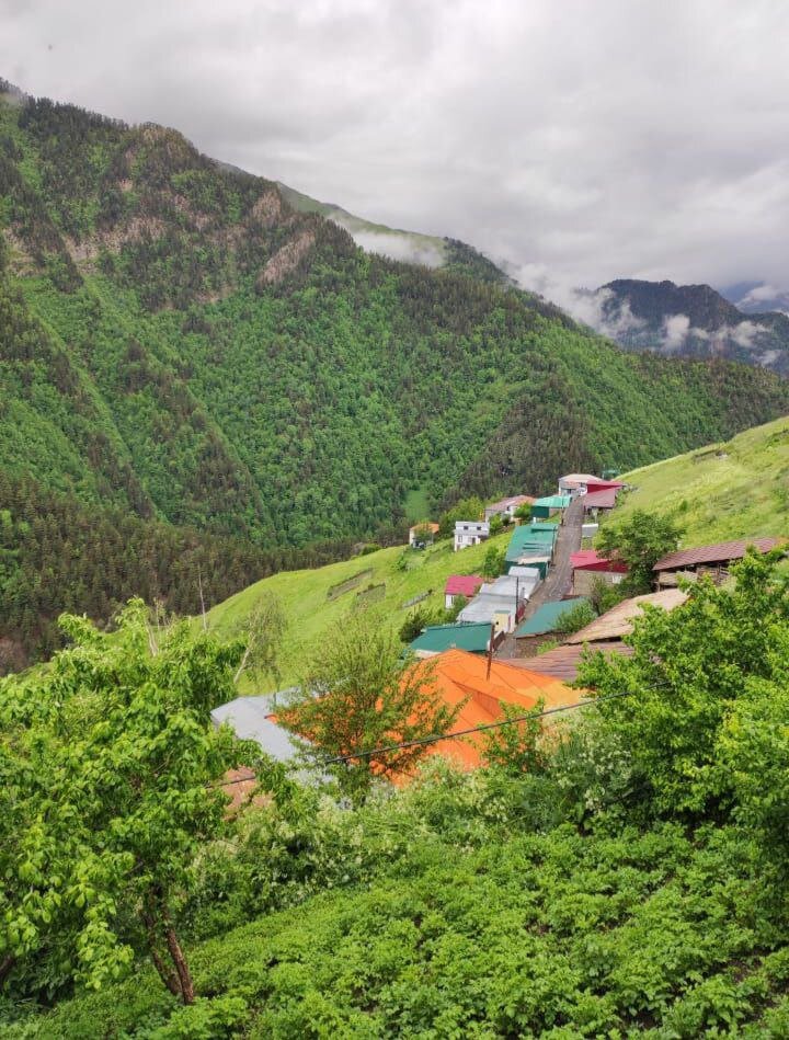 Тляратинский заказник фото