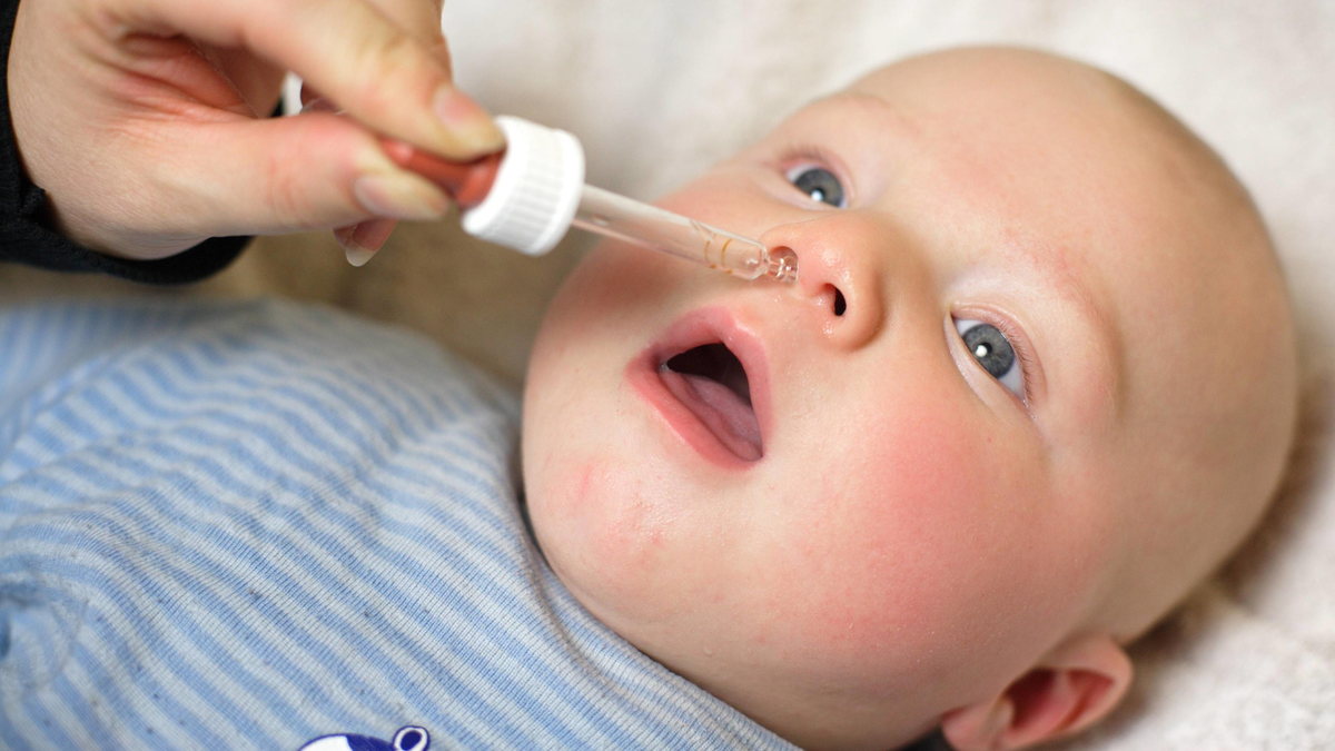 все фото - яндекс-картинки