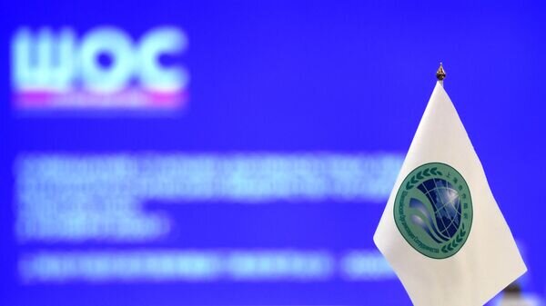    © Фотохост-агентство sco-russia2020.ru