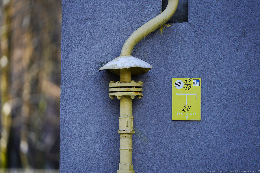 Фото: Виталий Невар / Новый Калининград