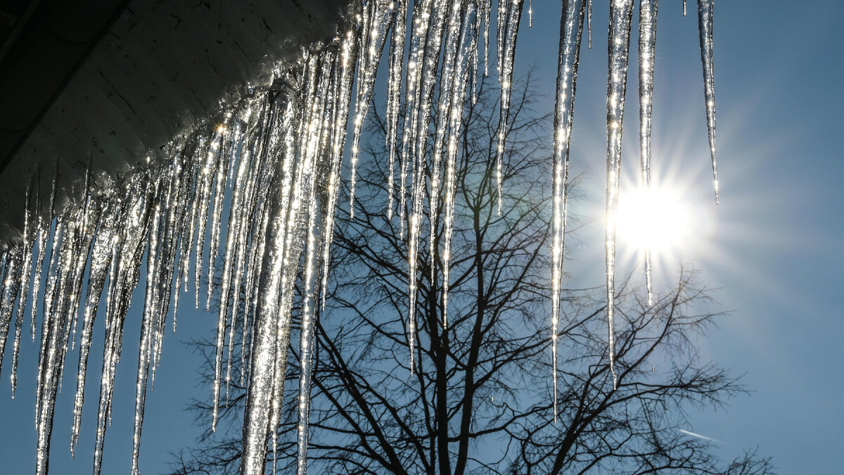 яндекс картинки