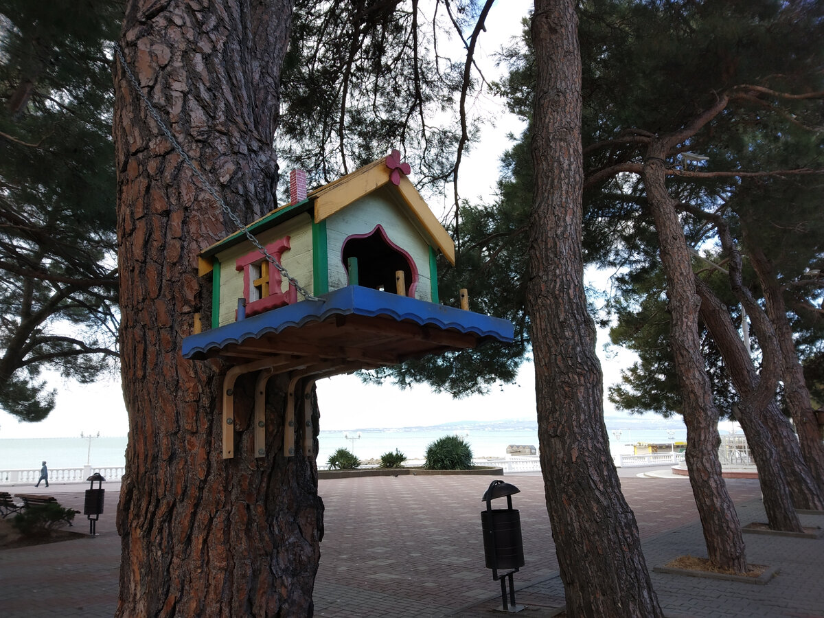 Фото автора публикации