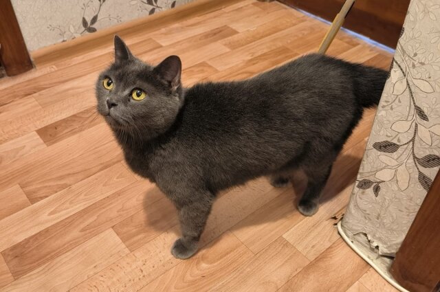    Фото: Фото предоставлено очевидцами