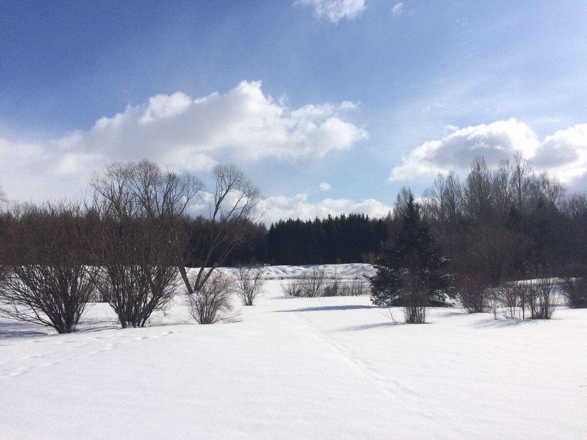 Зимний парк - просторы для раздумий