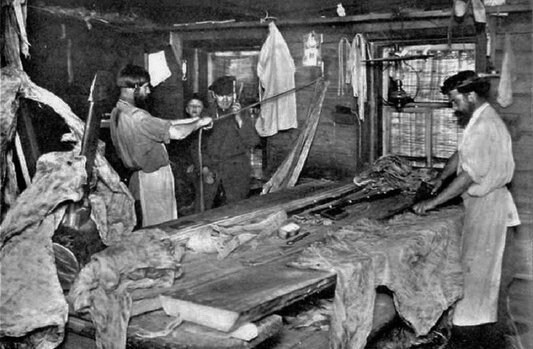 На кожевенном заводе идёт ручной процесс выделки шкур. Фото из открытых источников.