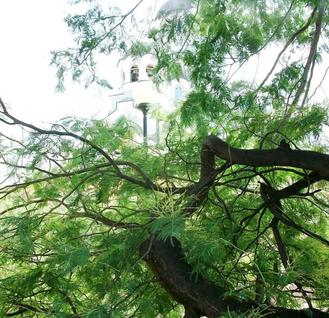 Фото из сентября 2018 года (листайте галерею)