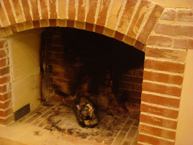 Бася греет камин