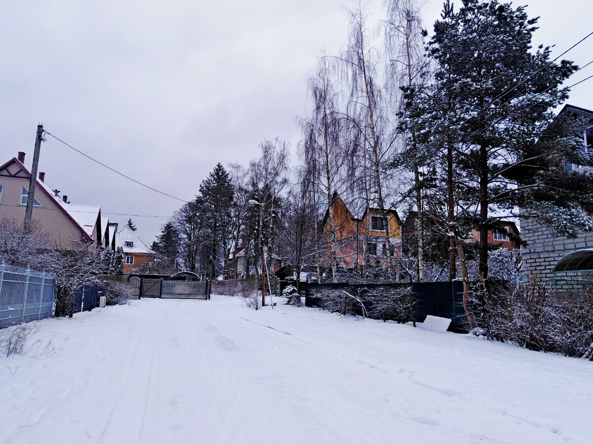 Я живу в Калининграде. Шторм "Дитхельм" наводит свои порядки. Гуляем по ...