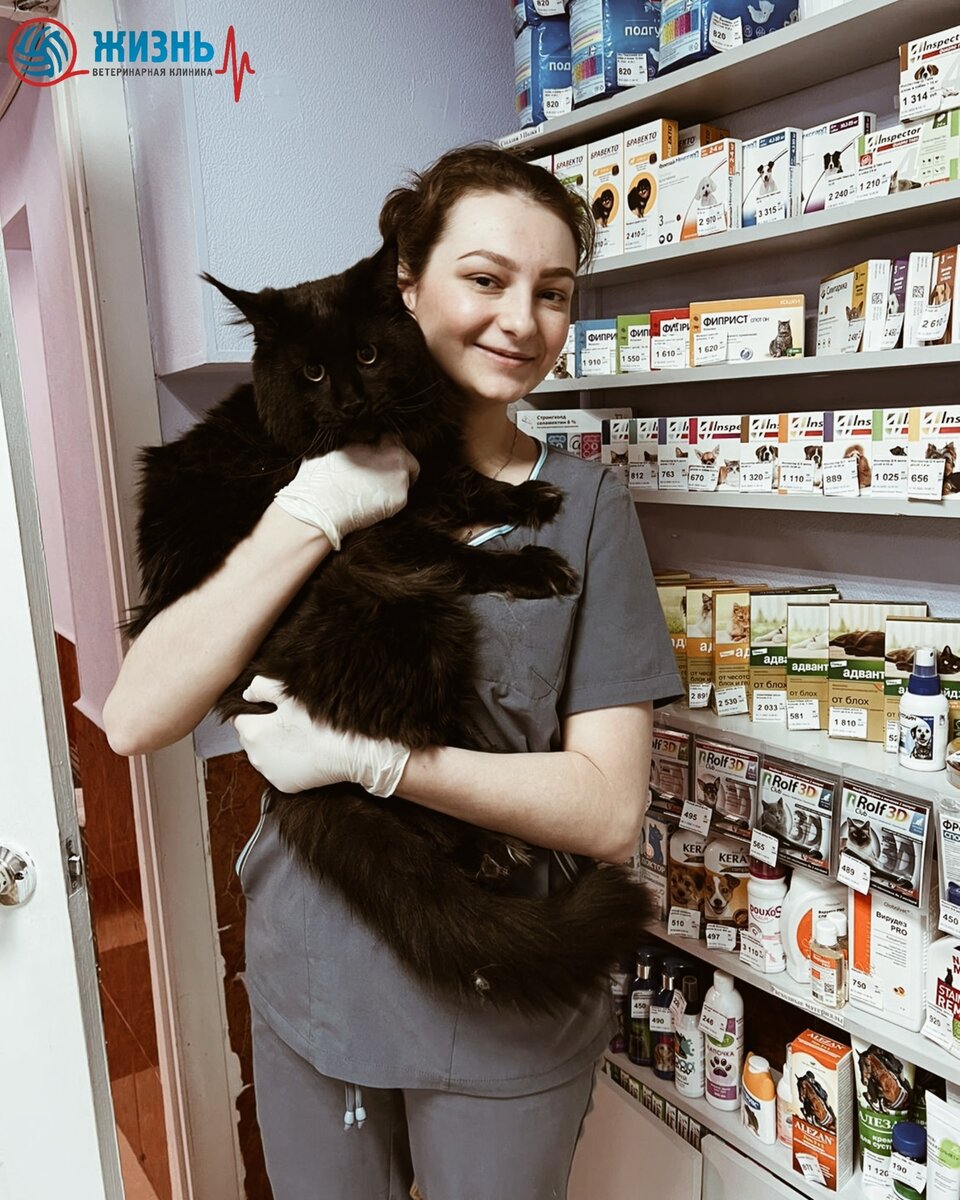 калуга ул чичерина 12. калуга жить отзывы. калуга жить отзывы. калуга живи магазин. калуга жить отзывы.