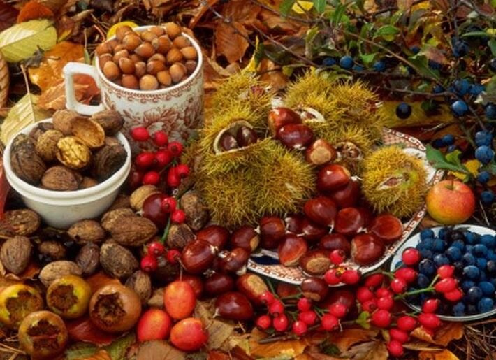 Собирают спелые орехи желуди дикие фрукты. Грибы ягоды орехи. Собирательство грибов и ягод. Осенние дары леса. Лесные дары природы.