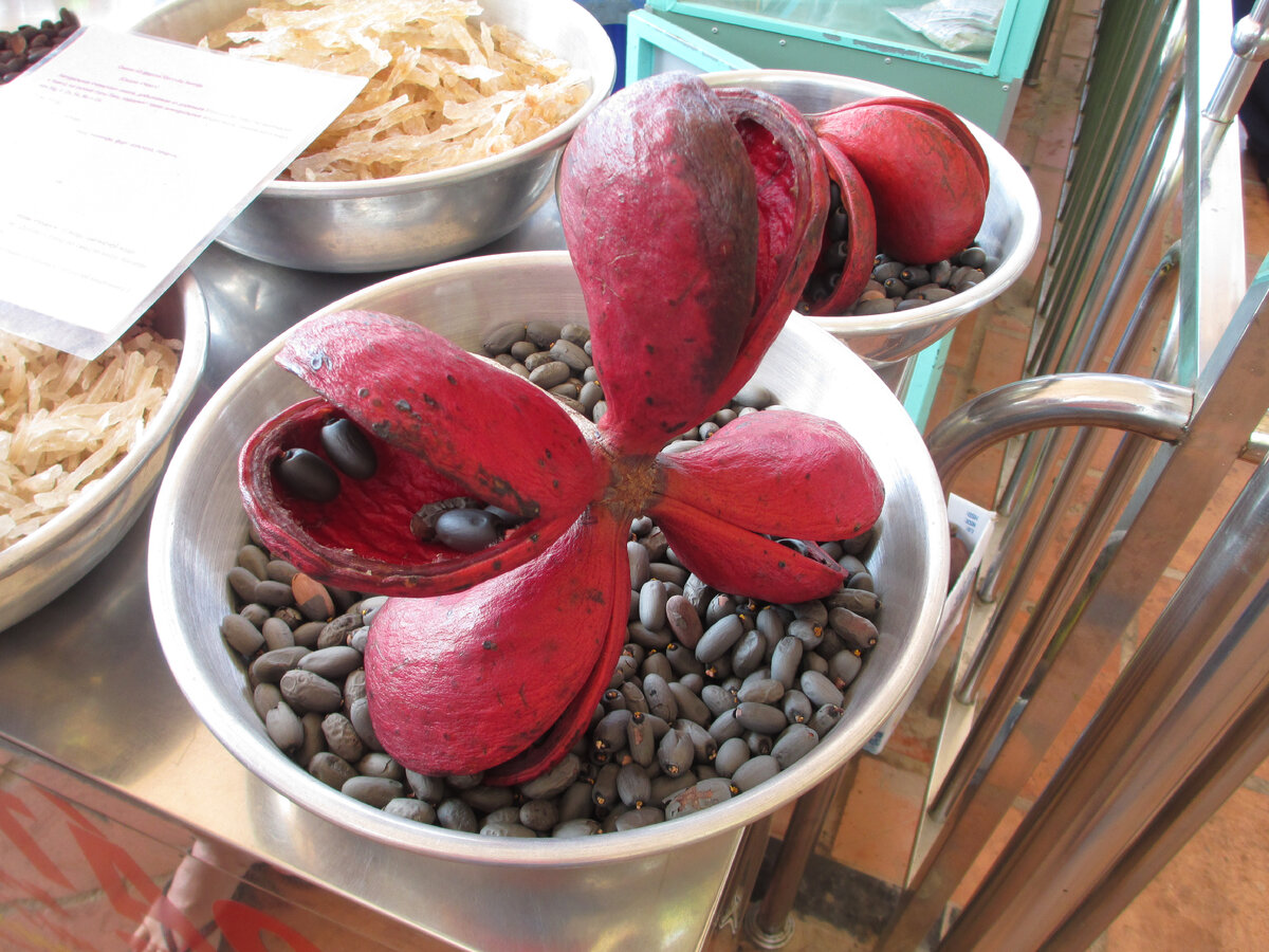 Как справиться с подобной ситуацией? 