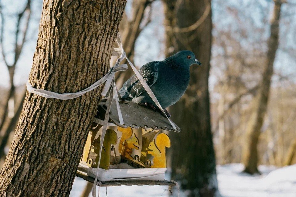     Ожидается потепление Мария Бакланова