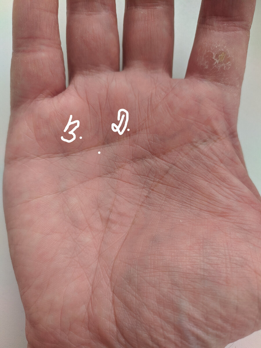 Руна Альгиз на руке