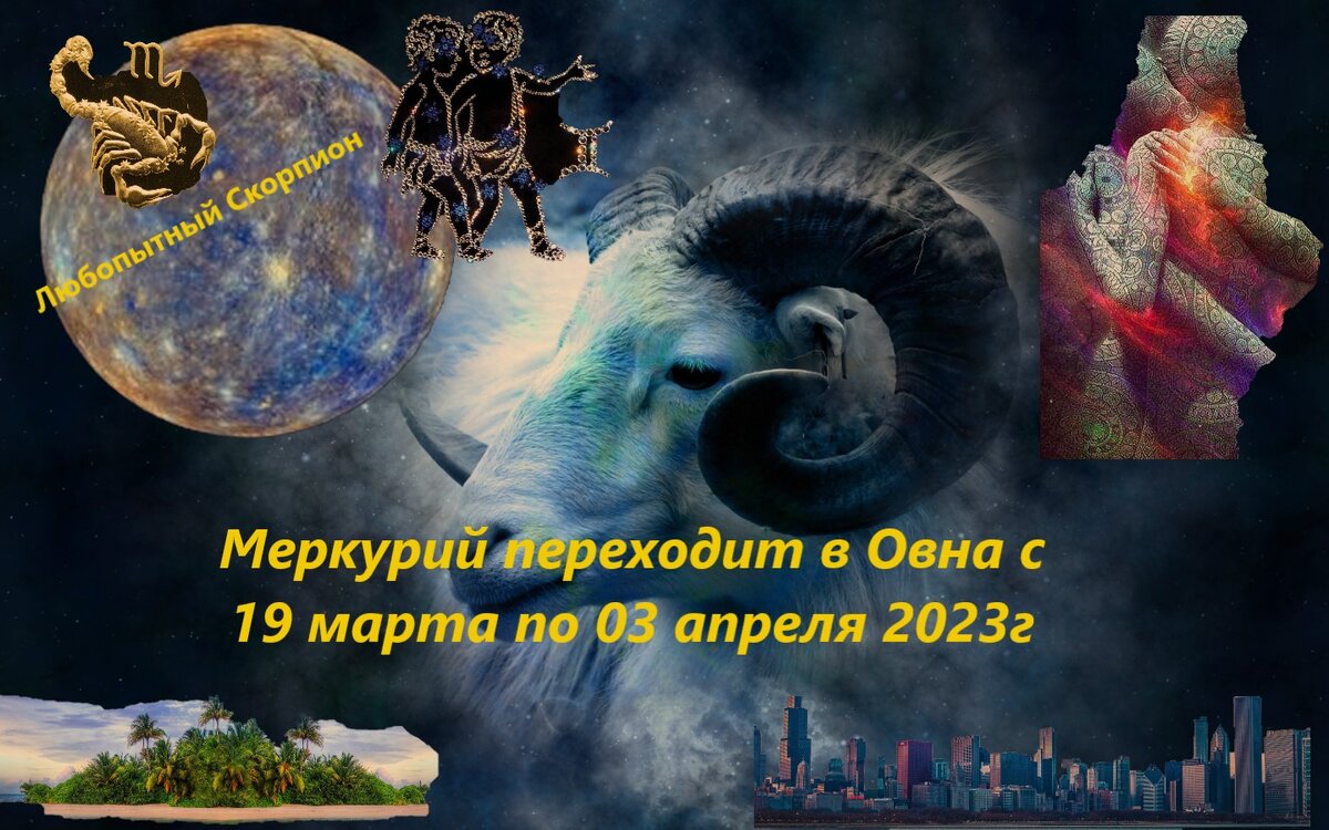 моя картинка