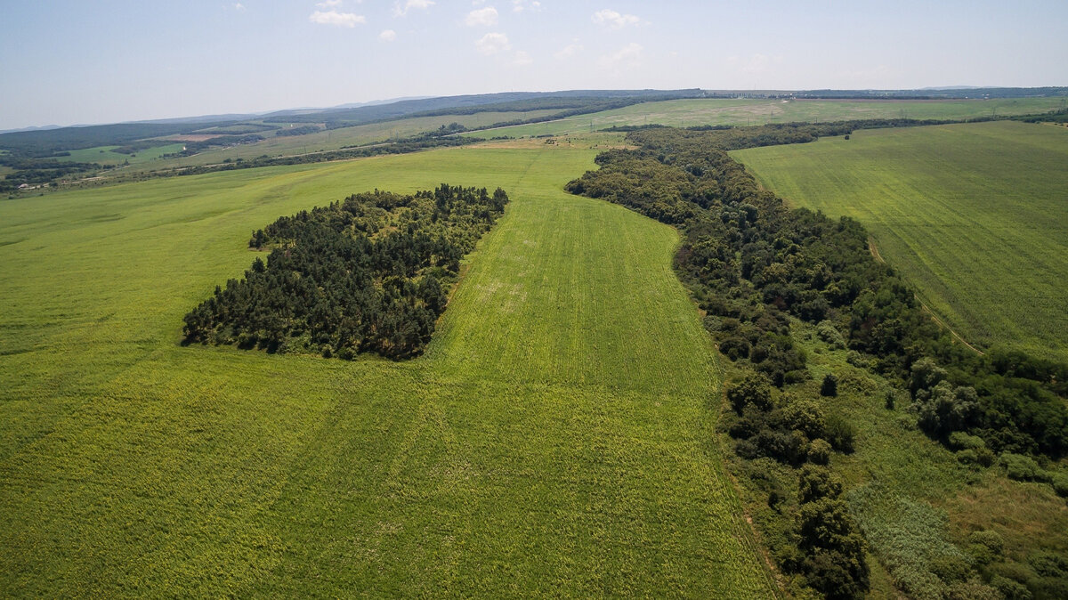 Вид на Радосвет, 2016 год