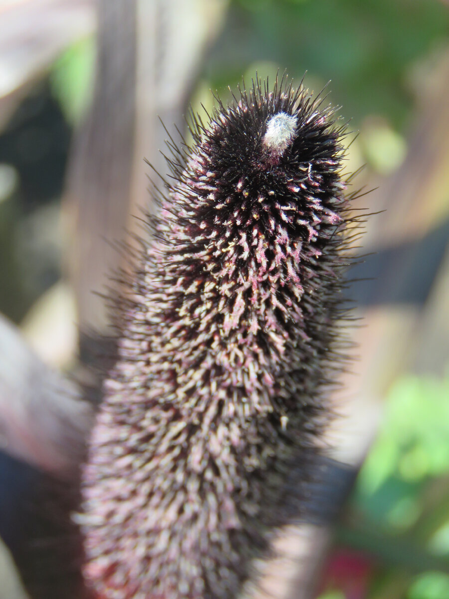 фото в гостях