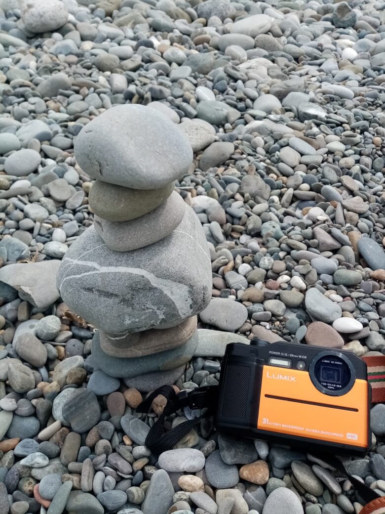 фото сделала за 2 года до Дзена