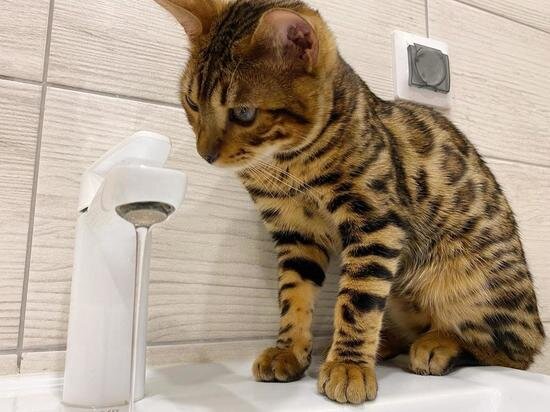     Фото: DonDay.ru.