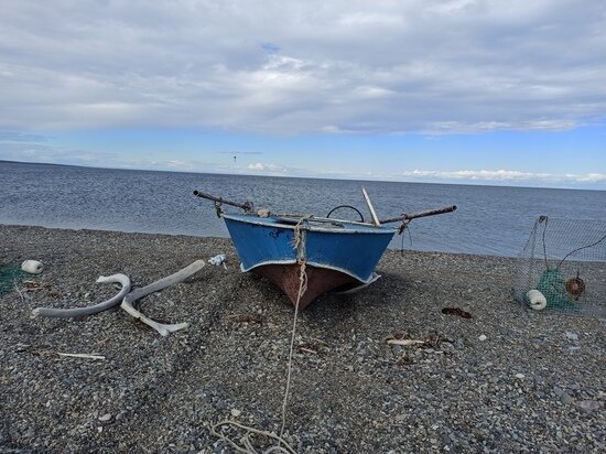   Дарья Федотова