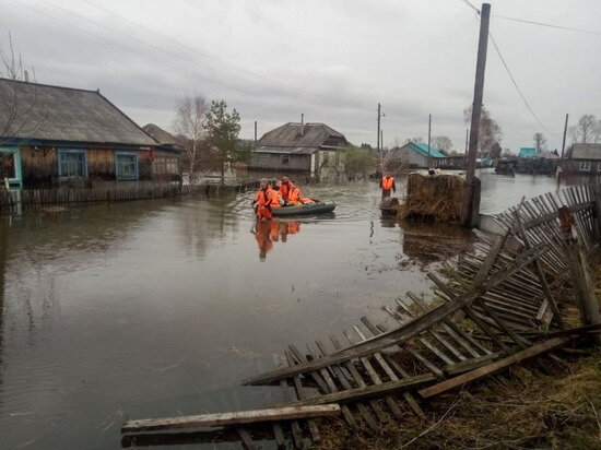     Фото: ГУ МЧС по Алтайскому краю