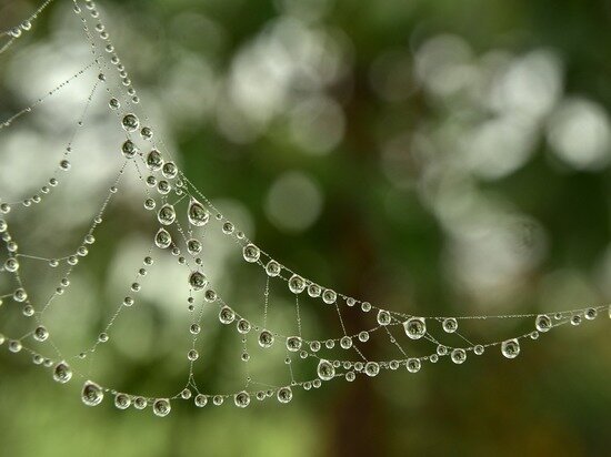     фото: pixabay.com