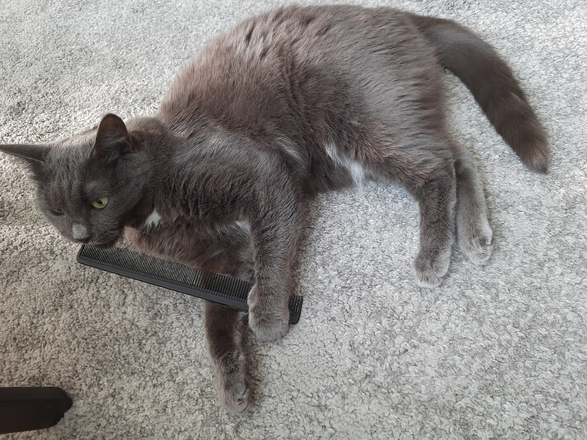 Наводит красоту