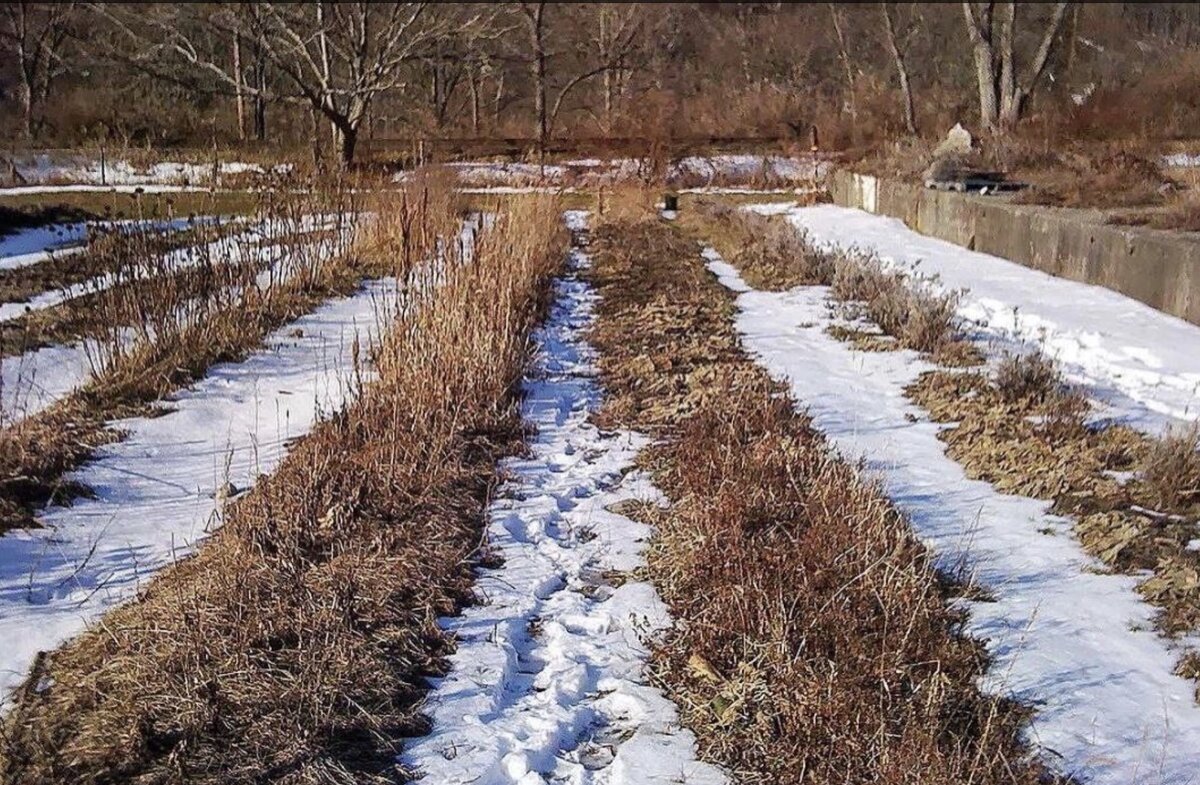Фото из открытого доступа 