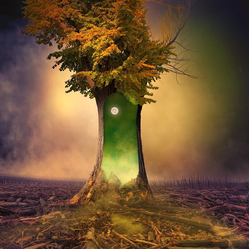 privorot.in отзывы о магах маг анатолий