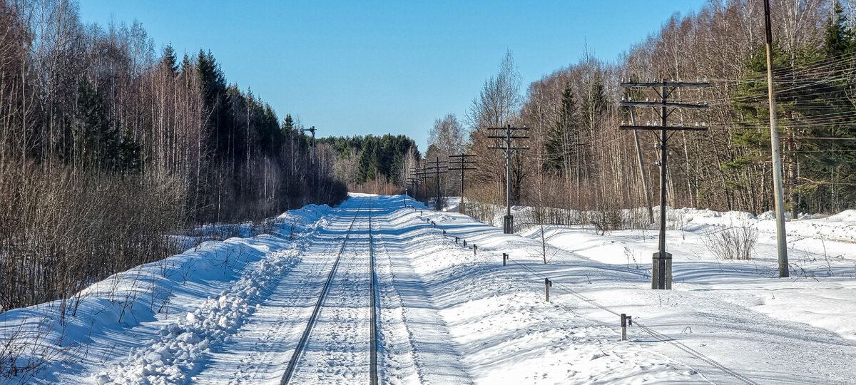 Станция Селижарово, вид на перегон в сторону Скакулино. Фото: Алексей Алексеев