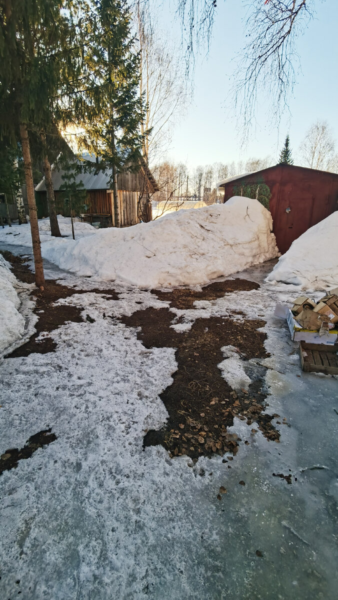 Проталины