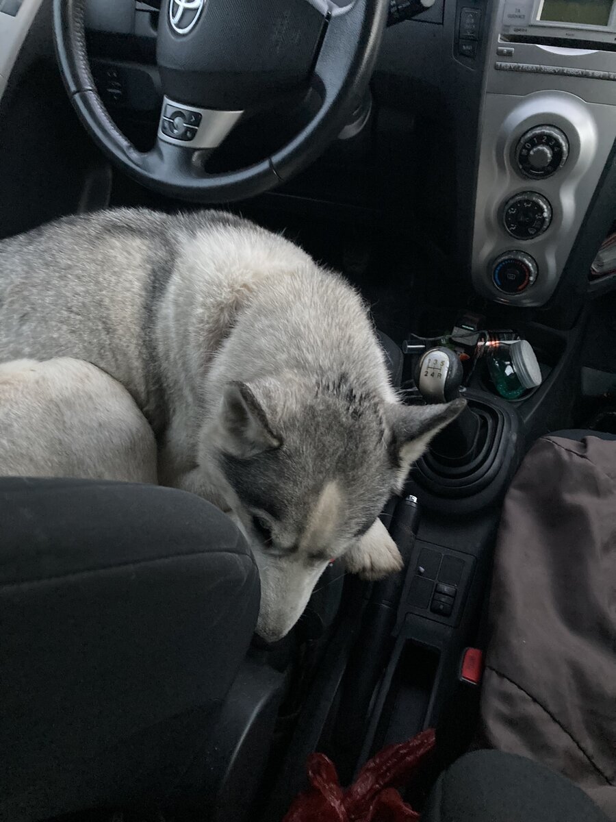 Она просто уснула от усталости