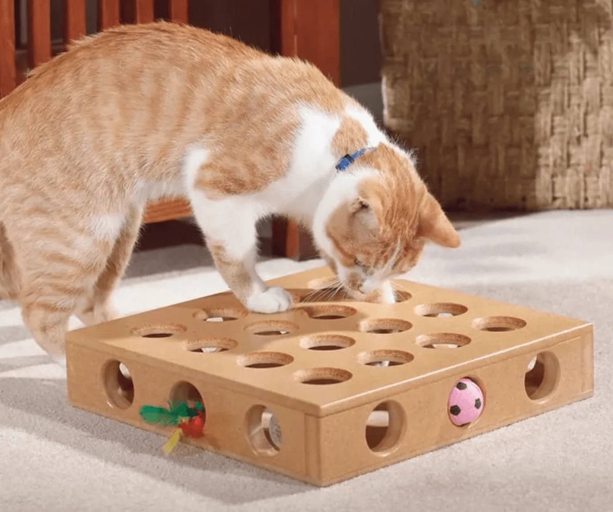 Самодельный кот. Игрушки для котов. Игрушка кот. Игрушка «котенок». Интерактивная игрушка кошка.