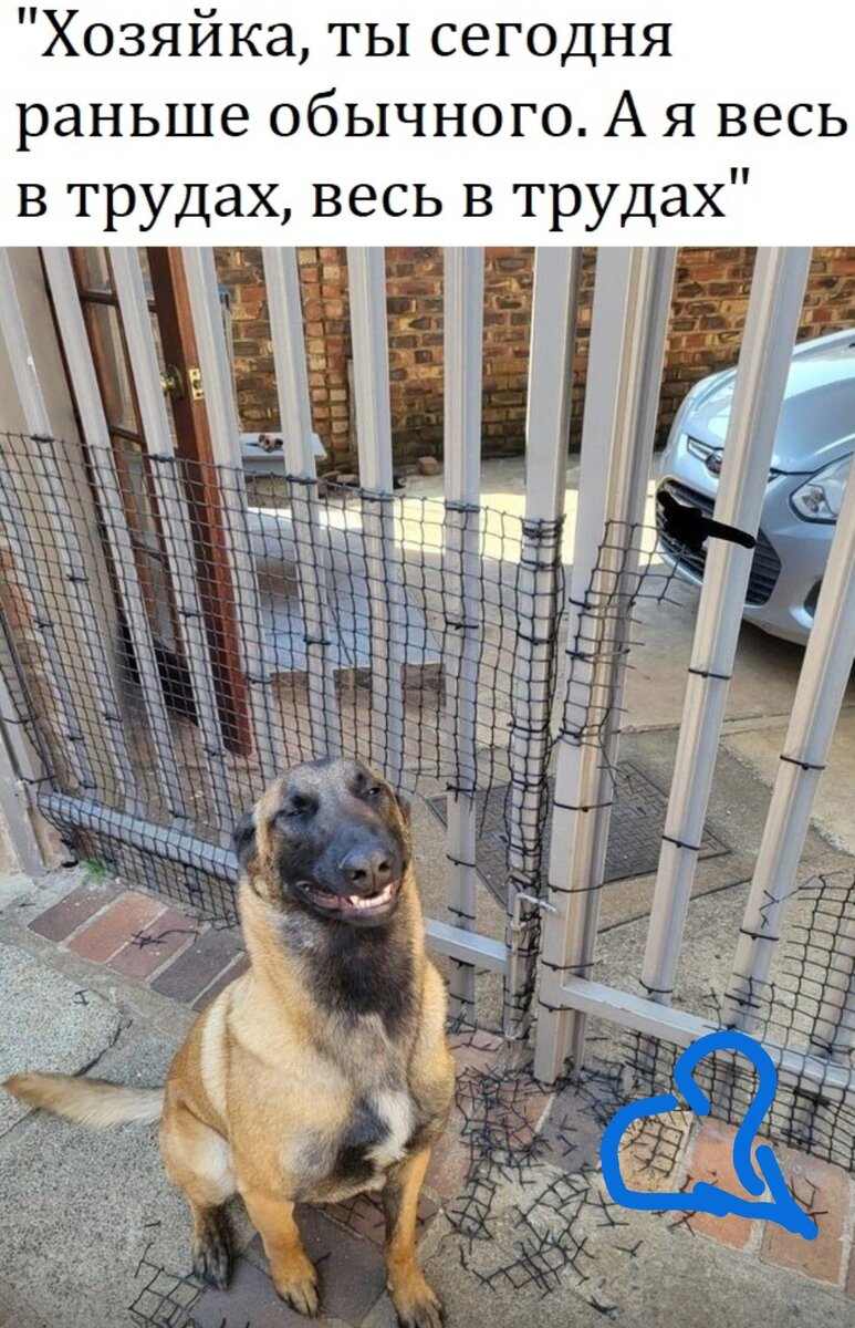 Скриншот автора в обработке