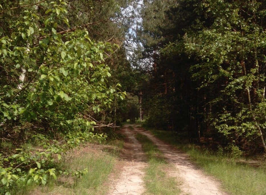 фото Ирины Никитиной.