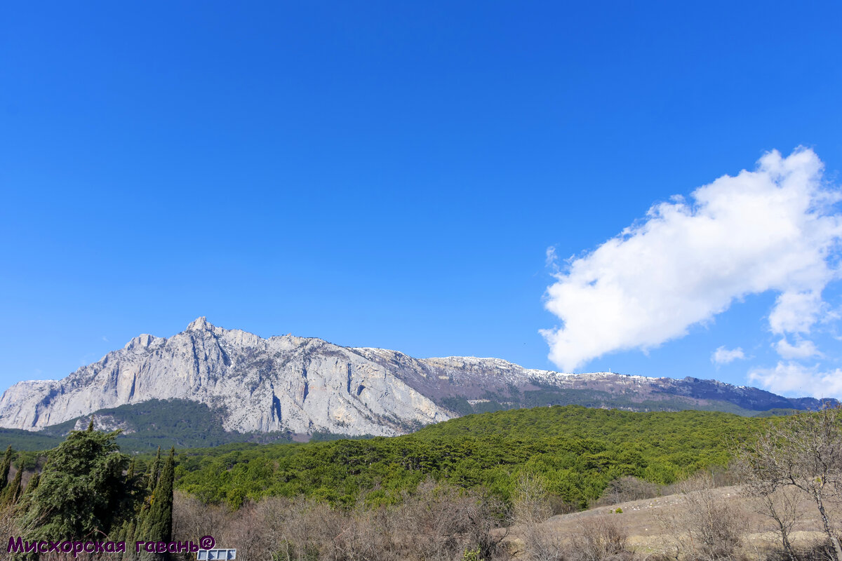 Вид на гору Ай-Петри, заповедный сосновый лес. Март в Крыму