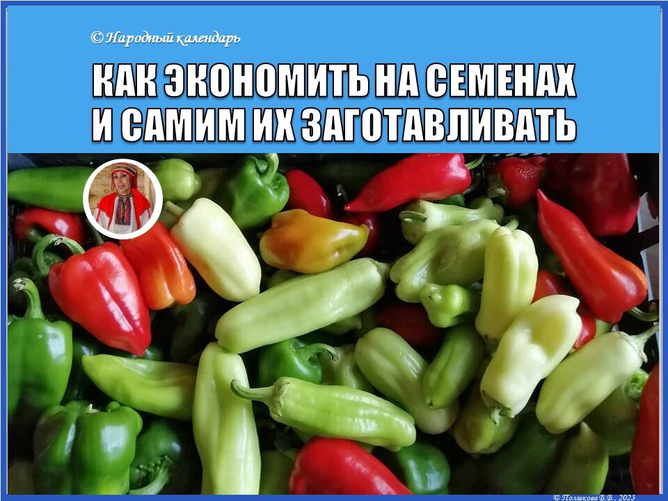 © Полшкова В.В., 2021
