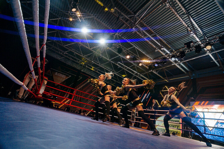 День боксера