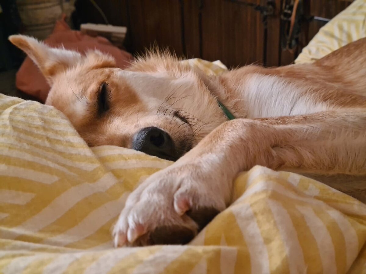 Фото-собственность канала