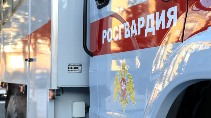 ФОТО: ELENA MAYOROVA/GLOBALLOOKPRESS