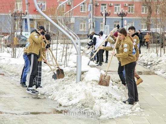     barnaul.org