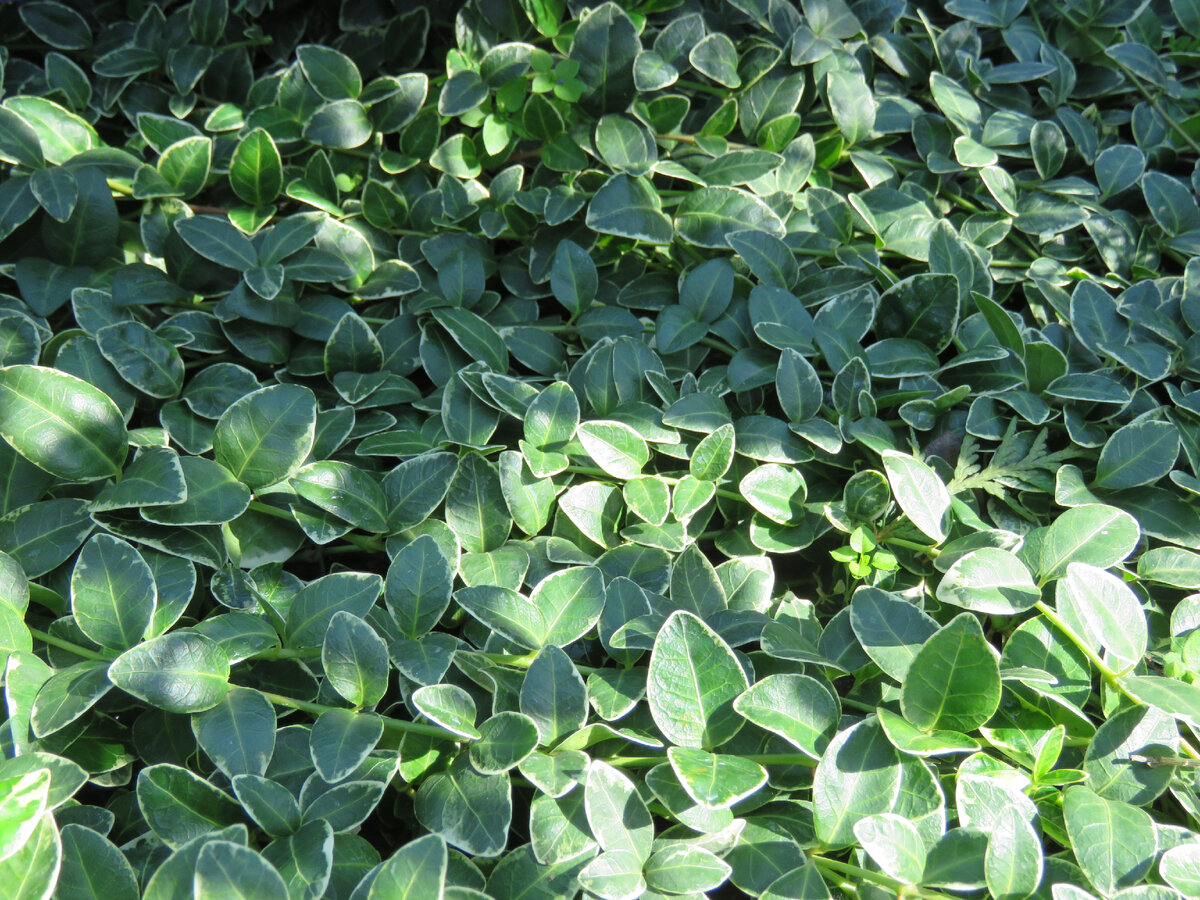 фото в гостях 