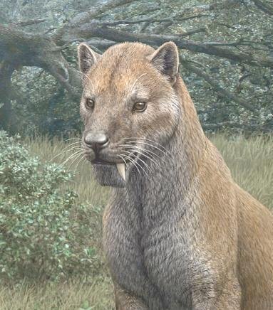 Древняя кошка или кот