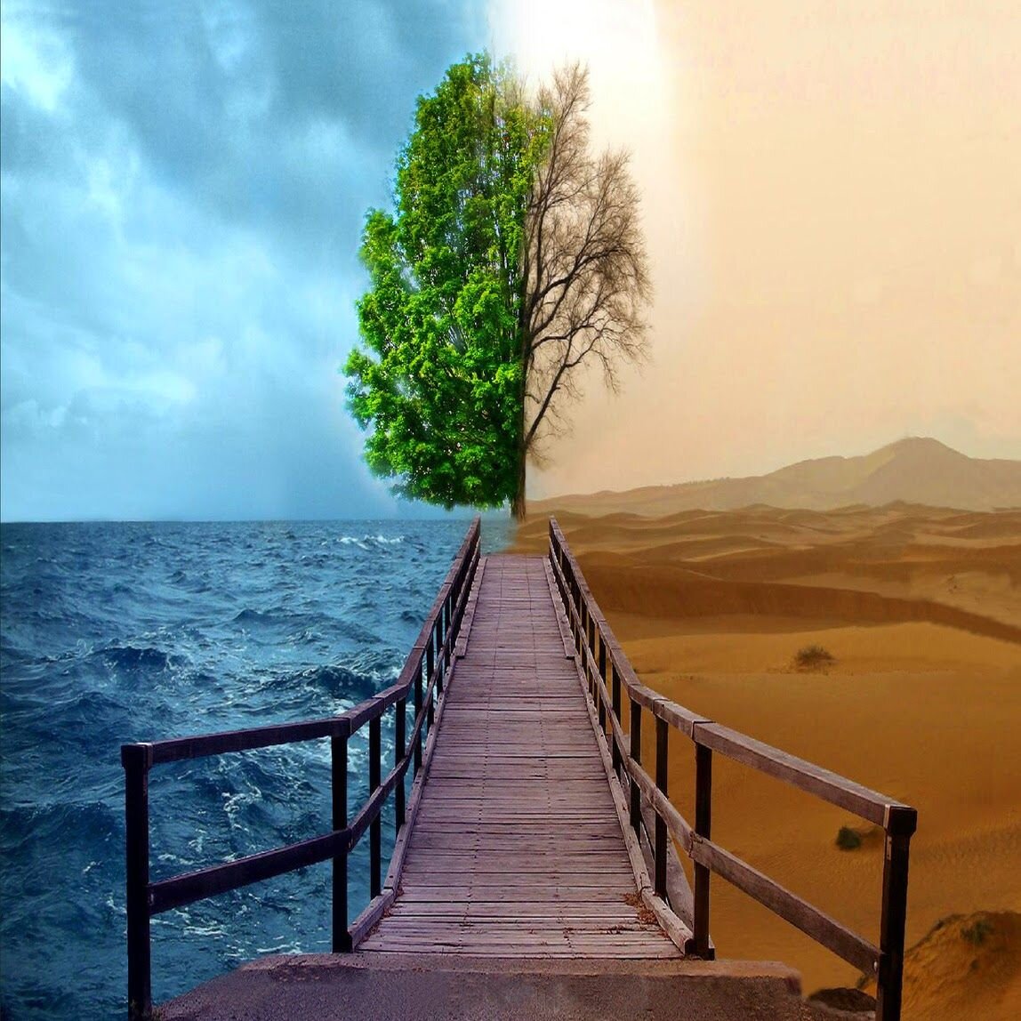 Wonderful now. Позитивный пейзаж. Красивые картинки. Счастье природа. Вдохновляющие картинки.