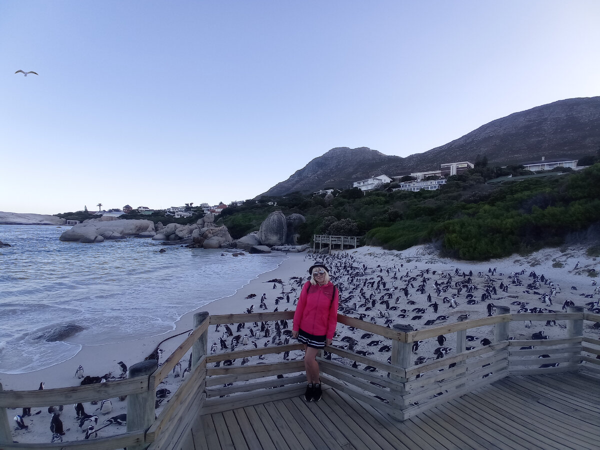 пляж Boulders Beach