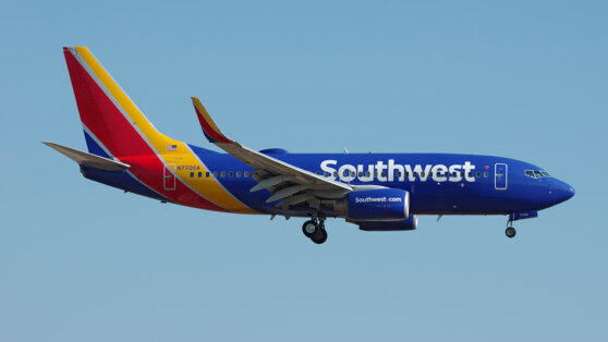    Пилот потерял сознание во время рейса, и пассажир помог посадить самолет Татьяна Сидорова