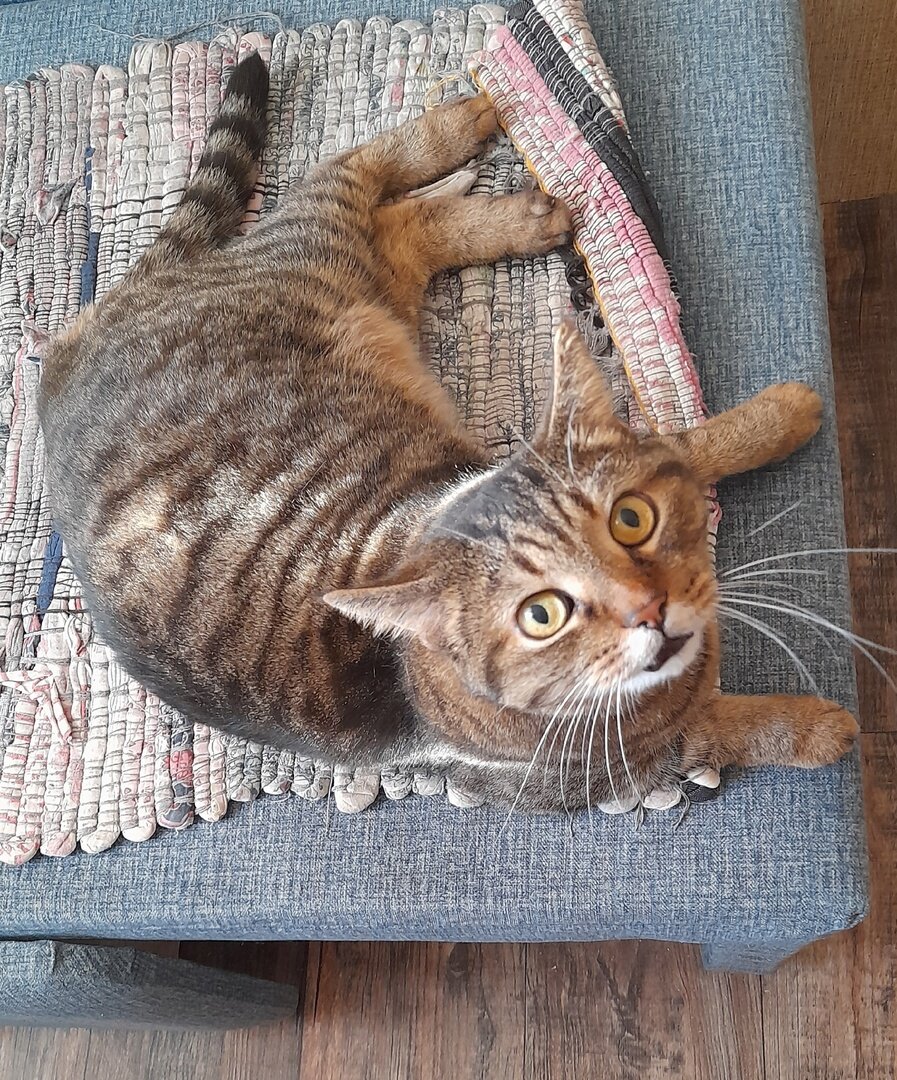 иллюстрация из яндекс картинки.